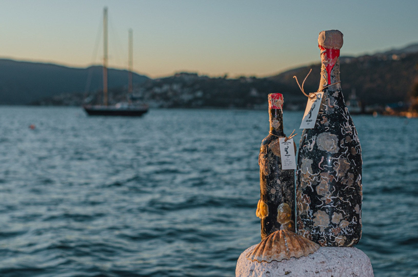 Bouteilles de vin vieillies sous l’eau et recouvertes d’organismes marins, devant la baie de Kotor