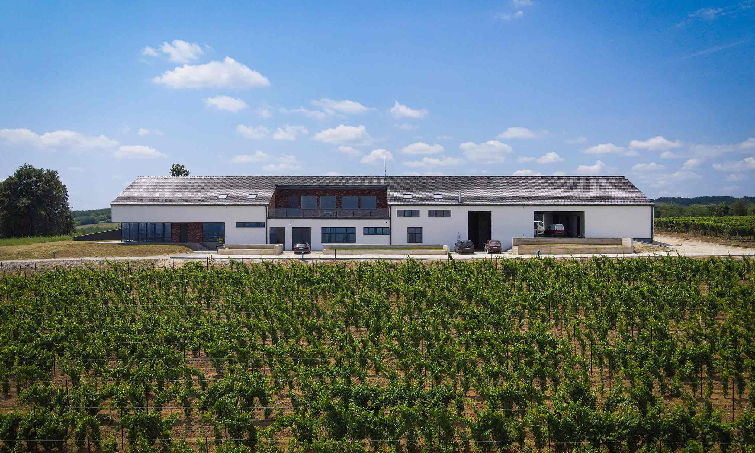Vinarija Matalj winery building amid the vineyards of Negotinska Krajina