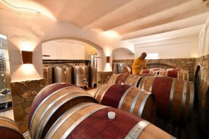 Barrels and tanks in the Ivanović winery cellar